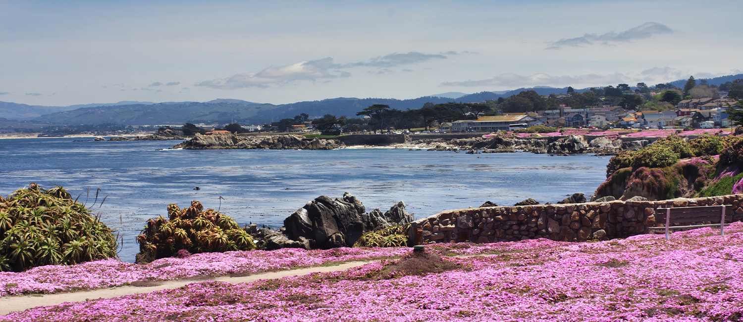 Explore Major Attractions In Monterey Just Minutes From Our Hotel